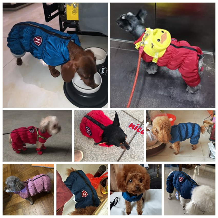 Zipper Snow Unisex Dog Waterpr - Baby Clothing Zipper のレビューと価格